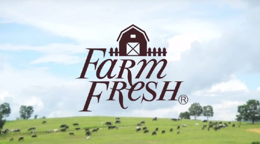 Case Study of Farm Fresh Berhad (5306)